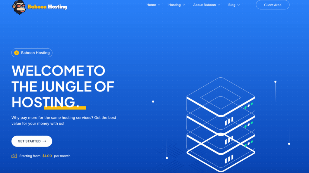 Baboon Hosting评测:荷兰这个价钱你会选择吗?看完测试结果估计买了的人肠子都悔青了